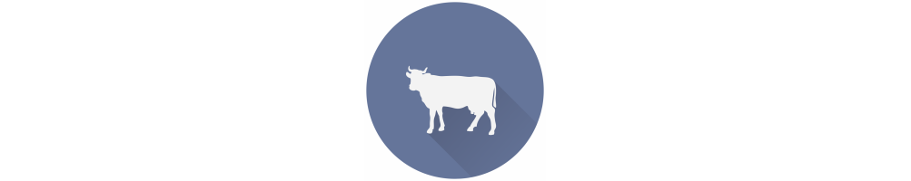 Quesos de leche de vaca