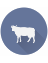 LECHE DE VACA