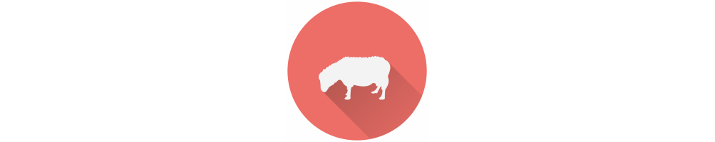 Quesos de leche de oveja